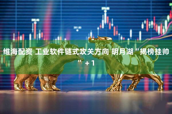 维海配资 工业软件链式攻关方向 明月湖“揭榜挂帅”＋1