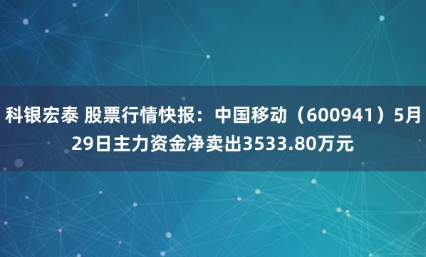 科银宏泰 股票行情快报:中国移动(600941)5月29日主力资金净卖出3533.80万元